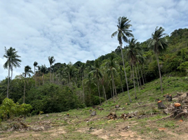  Grundstück zu verkaufen in Koh Samui, Surat Thani, Maenam