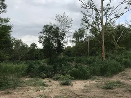  Grundstück zu verkaufen in Kaeng Khoi, Saraburi, Cha-Om