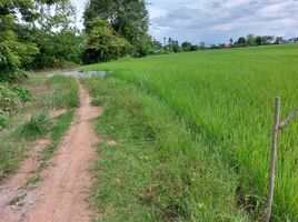  Land for sale in Mueang Nan, Nan, Thuem Tong, Mueang Nan