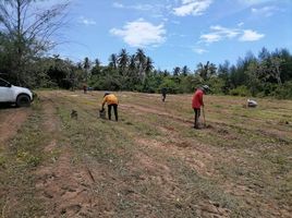  Grundstück zu verkaufen in Takua Pa, Phangnga, Bang Muang, Takua Pa, Phangnga, Thailand