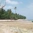  Land for sale in West Sumatera, Sipora, Padang Pariaman, West Sumatera