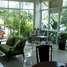 5 Schlafzimmer Shophaus zu vermieten in Rawai, Phuket, Rawai, Phuket Town, Phuket