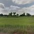  Land for sale in Kantharawichai, Maha Sarakham, Na Si Nuan, Kantharawichai