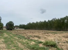  Grundstück zu verkaufen in Pran Buri, Prachuap Khiri Khan, Pak Nam Pran