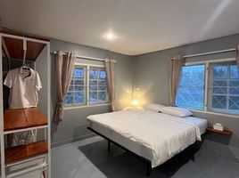 1 Bedroom Condo for rent at Apartment near Kamala Beach , Kamala