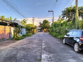 4 Schlafzimmer Haus zu verkaufen in Mueang Chiang Rai, Chiang Rai, San Sai, Mueang Chiang Rai