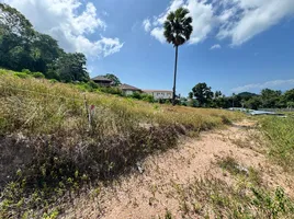  Land for sale in Bo Phut, Surat Thani, Bo Phut
