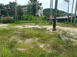  Land for sale in Thalang, Phuket, Choeng Thale, Thalang
