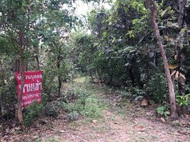  Grundstück zu verkaufen in Phibun Mangsahan, Ubon Ratchathani, Sai Mun