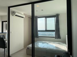 1 Bedroom Condo for rent at Skyline Rattanathibet , Bang Kraso
