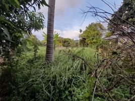  Land for sale in Ko Chang, Ko Chang, Ko Chang