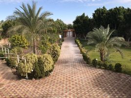 6 Bedroom Villa for sale at Golf Al Solimania, Cairo Alexandria Desert Road, 6 October City, Giza