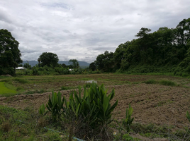  Grundstück zu verkaufen in Chiang Dao, Chiang Mai, Chiang Dao, Chiang Dao