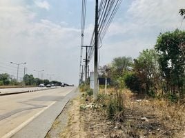  Land for sale in Nakhon Ratchasima, Makluea Kao, Sung Noen, Nakhon Ratchasima