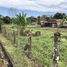  Grundstück zu verkaufen in Siquirres, Limon, Siquirres, Limon