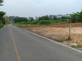  Land for sale in Chiang Mai International Airport, Suthep, Pa Daet