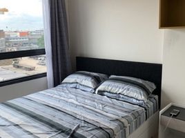 1 Bedroom Condo for rent at iCondo Green Space Sukhumvit 77 Phase 1, Lat Krabang, Lat Krabang