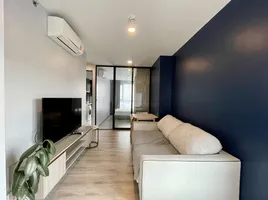 1 Bedroom Condo for rent at KnightsBridge Collage Sukhumvit 107, Bang Na