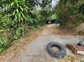  Grundstück zu verkaufen in Koh Samui, Surat Thani, Maenam