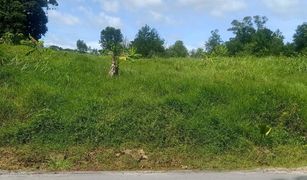 N/A Land for sale in Sakhu, Phuket 