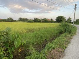  Grundstück zu verkaufen in San Pa Tong, Chiang Mai, San Klang