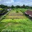  Grundstück zu verkaufen in Badung, Bali, Mengwi, Badung, Bali