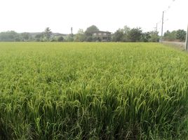  Land for sale in Rat Niyom, Sai Noi, Rat Niyom