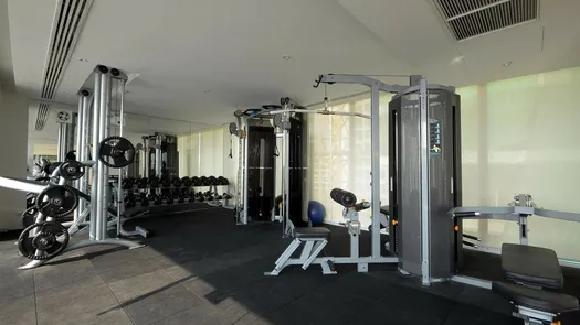 사진들 1 of the Communal Gym at The Elegance