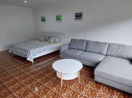 อพาร์ทเม้นท์ 1 ห้องนอน ให้เช่า ในโครงการ อนันดา เพลส, เกาะแก้ว, เมืองภูเก็ต