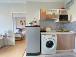 คอนโด 1 ห้องนอน ให้เช่า ในโครงการ สเคป เอ็กซ์ทู, เชิงทะเล, ถลาง, ภูเก็ต