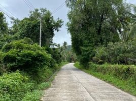  Grundstück zu verkaufen in Ko Pha-Ngan, Surat Thani, Ko Pha-Ngan