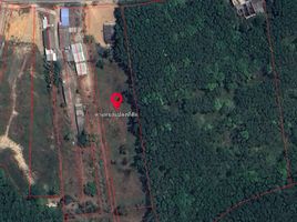  Grundstück zu verkaufen in Takua Thung, Phangnga, Lo Yung