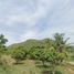  Land for sale in Pak Nam Pran, Pran Buri, Pak Nam Pran