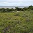  Land for sale in Sumba Barat East Nusa Tenggara, Kodi, Sumba Barat, East Nusa Tenggara, Indonesia