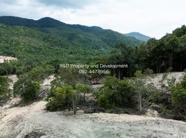  Grundstück zu verkaufen in Ko Pha-Ngan, Surat Thani, Ko Pha-Ngan, Ko Pha-Ngan