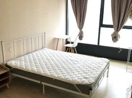 Studio Penthouse for rent at CHOA CHU KANG CRESCENT , Yew tee, Choa chu kang, West region, Singapore