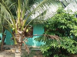 2 Bedroom House for sale in Bua Ban, Yang Talat, Bua Ban