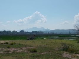  Grundstück zu verkaufen in Sam Roi Yot, Prachuap Khiri Khan, Sam Roi Yot