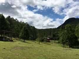  Grundstück zu verkaufen in Siguatepeque, Comayagua, Siguatepeque, Comayagua