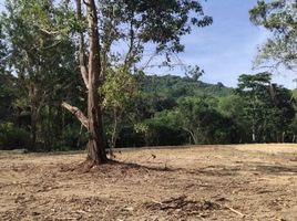  Land for sale in Bang Tao Beach, Choeng Thale, Choeng Thale
