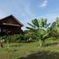 4 Bedroom Hotel for sale in Kalasin, Um Mao, Yang Talat, Kalasin