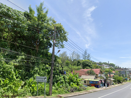  Grundstück zu verkaufen in Thalang, Phuket, Choeng Thale