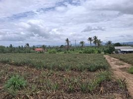  Land for sale in Wang Phong, Pran Buri, Wang Phong