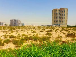  Land for sale at Liwan, Al Reem