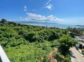  Grundstück zu verkaufen in Koh Samui, Surat Thani, Bo Phut, Koh Samui