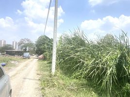  Land for sale in Ban Mai, Pak Kret, Ban Mai