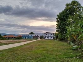  Land for sale in Phan, Chiang Rai, Mueang Phan, Phan