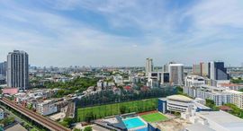 ยูนิตมือสองและให้เช่า