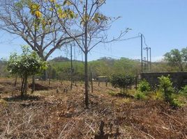  Grundstück zu verkaufen in Hojancha, Guanacaste, Hojancha