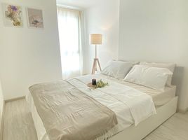 1 Schlafzimmer Wohnung zu vermieten im Ideo Mobi Wongsawang - Interchange, Bang Sue, Bang Sue, Bangkok, Thailand